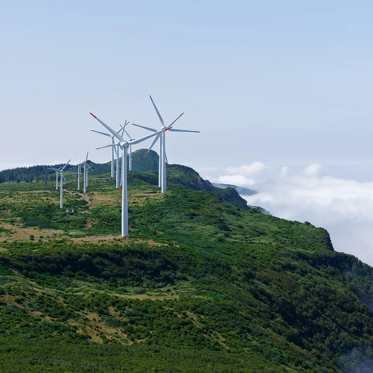 Sustainability Image